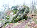 Rocher de granite en boule (près de la rive sud de l'Anse de Poulguin)