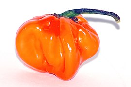 5.3.15 Habanero