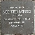 image=https://upload.wikimedia.org/wikipedia/commons/7/77/Siegfried_Ksinski.jpg