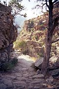 Gorges de Spelunca