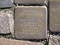 image=https://commons.wikimedia.org/wiki/File:Stolperstein_Leo_Oppenheim,_1,_Pfarrstra%C3%9Fe_21,_Bebra,_Landkreis_Hersfeld-Rotenburg.jpg