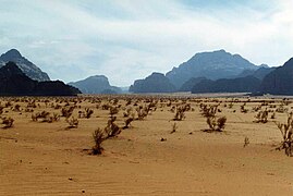 14.11.15 Wadi Rum