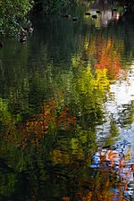 Thumbnail for File:Scenery of the pond at Shitennō-ji Honbō Park in Osaka, November 2015.jpg