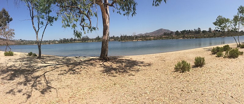 File:Lake Murray shore.jpg