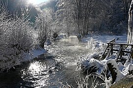 Thomas Hummel - Ahbach (Ahr) im Naturschutzgebiet am Wasserfall Dreimühlen