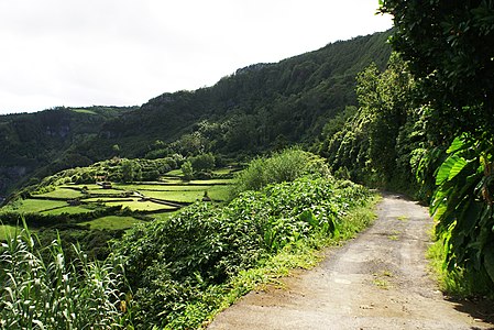 green landscape Deutsch: Grüne Landschaft mit Wanderweg