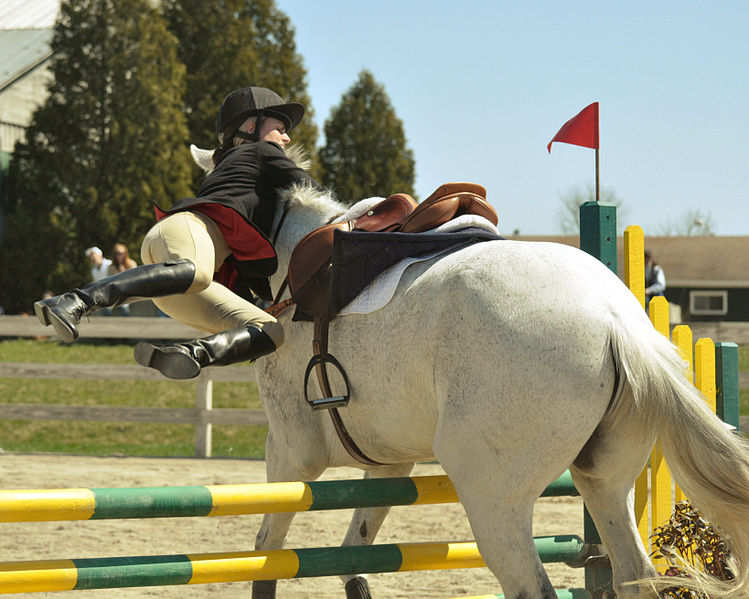 File:Horse Jumping almost.jpg