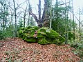 Rocher recouvert de mousse dans le bois au voisinage du château de Poulguin