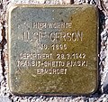 image=https://commons.wikimedia.org/wiki/File:Stolperstein_Im_Dol_23_(Dahlem)_Lucie_Gerson.jpg