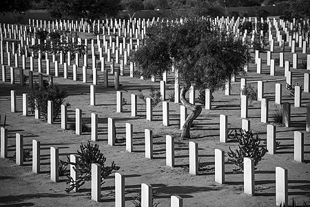 Alamein Memorial Photographer: Mona Hassan Abo-Abda