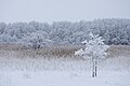 Matsalu National Park