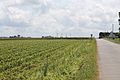 Une partie des éoliennes installées sur la commune de Plourin.