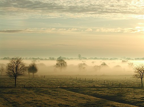 Bodennebel in Ostfriesland