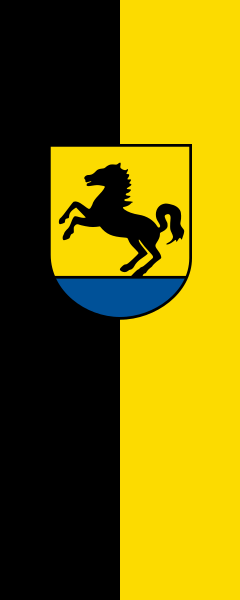 File:Flagge Bad Rappenau.svg