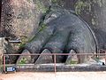 Sigiriya