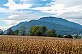 English: Maize field on Ratzendorfer Straße and the Ulrichsberg (mountain) in the background Deutsch: Maisfeld an der Ratzendorfer Straße und der Ulrichsberg im Hintergrund