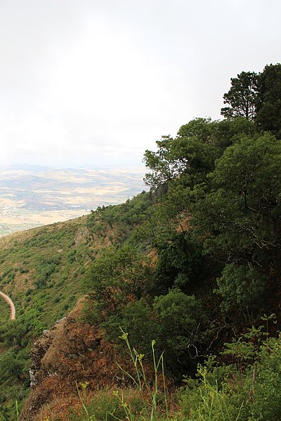 File:91016 Erice, Province of Trapani, Italy - panoramio (37).jpg