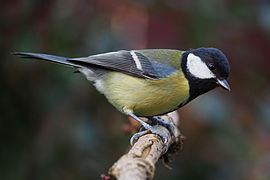 Lancashire, UK