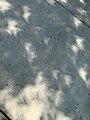 Natural pinhole shadows during an eclipse