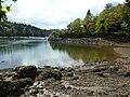 L'Odet : vue vers l'aval en direction des Vire-Court à partir de l'anse de Kerambleiz en Plomelin.