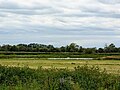 wikimedia_commons=File:Scrape pond, Coombe Hill Nature Reserve.jpg