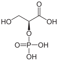 File:L-2-Phosphoglycerinsäure.svg