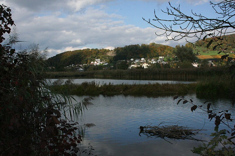 File:Klingnauer Stausee 2008 10 17 000.JPG