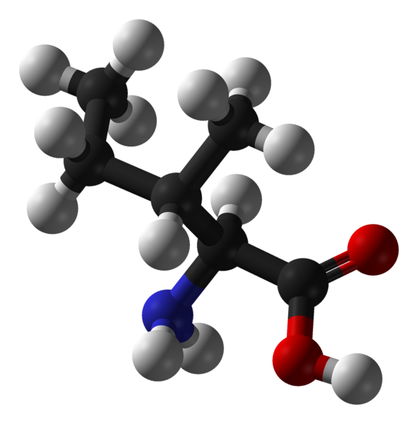 File:L-isoleucine-3D-balls.png