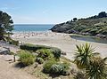 L'anse et la plage de Rospico vues de l'est 1.