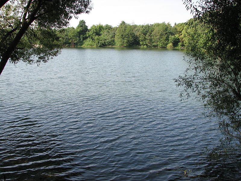 File:Grunfeld Pond Katowice Poland 004.JPG