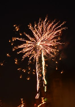 Fireworks looking like a burning tree.