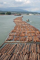 Timber rafting to Vancouver, Canada