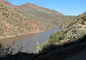  Salt River, Arizona