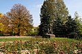 Rosarium in Silesian Park, Chorzów