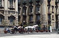 Carrozza matrimoniale / Wedding cart.