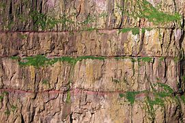 Basalt and tuff layers in Fámara.