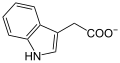 Deutsch: Struktur von Indolacetat English: Structure of indoleacetate