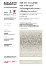 Thumbnail for File:Feet, heat and scallops - what is the cost of anthropogenic disturbance in bivalve aquaculture?.pdf