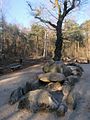 Dolmen Düwelsteene nearby Heiden