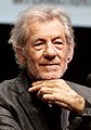 Sir Ian McKellen (Gandalf)