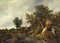 Jacob van Ruisdael, Landscape with a Cottage and Trees 1646. oil on canvas medium QS:P186,Q296955;P186,Q12321255,P518,Q861259 . 71.8 × 101 cm (28.2 × 39.7 in).