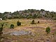 Gravefield from stone age, west Sweden