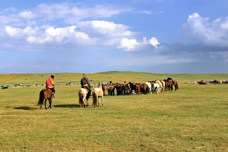 File:Festiwal Naadam na stepie na obrzeżach Ułan Bator 26.JPG