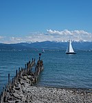 Sailboat near Wasserburg