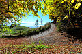 English: Hiking trail to Mount Ulrich Deutsch: Wanderweg auf den Ulrichsberg