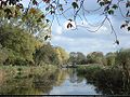 A pool in the Delftse Hout, the public park near Delft.