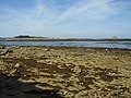 Une grève caillouteuse à Roscoff 1