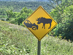 Moose sign, Gros Morne National Park, Newfoundland