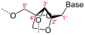 Deutsch: Struktur von LNA, 3'-endo-Konformation English: Structure of LNA, 3'-endo conformation