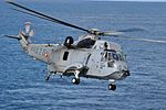 Thumbnail for File:CH-124 Sea King.jpg